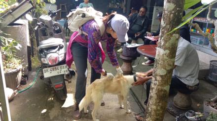 Vaksinasi Rabies di dusun Tamblingan dan Taman 